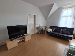 TV a/nebo společenská místnost v ubytování Villa in Adelsheim