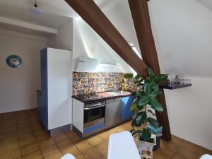 Kuchyň nebo kuchyňský kout v ubytování Villa in Adelsheim