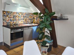 Kuchyň nebo kuchyňský kout v ubytování Villa in Adelsheim