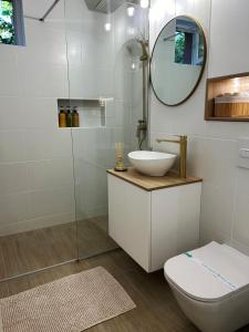 un bagno con lavandino, WC e specchio di Inga Oasis a Turda Altre 11 foto