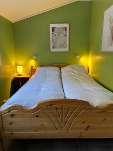 Billede fra billedgalleriet på Hagusane Feriehus i Lærdalsøyri