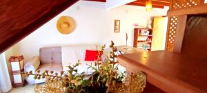 a living room with a couch and a potted plant at Casa Dos Ventos Hospedagem Praia do Rosa in Praia do Rosa