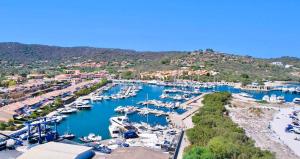 波尔托奥蒂罗卢Residence with swimming-pool in Ottiolu just 250 mt from the sea的停泊着船只的码头鸟瞰图