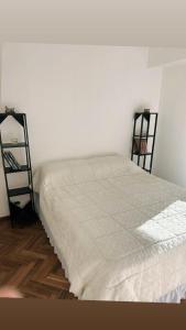 1 dormitorio con 1 cama y 2 estanterías en Rosario centro, en Rosario