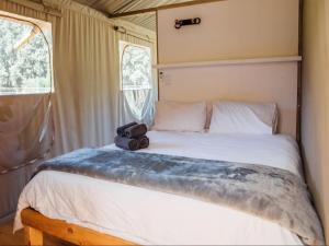 a bedroom with a bed with a camera on it at AfriCamps at Bonamanzi Game Reserve in Hluhluwe