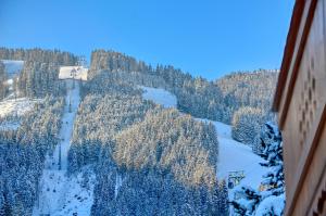 Obiekt Chalet Schmitten - by Alpen Apartments zimą