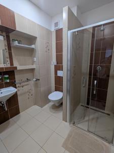 Koupelna v ubytování Hotel Alfa + 37 fotografií