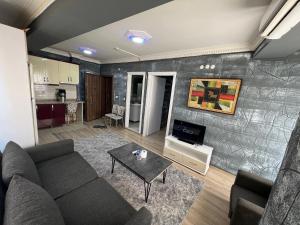 TV a/nebo společenská místnost v ubytování kızıl suit house