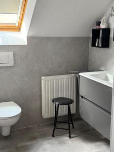 Koupelna v ubytování Ferienwohnung Am Froschteich