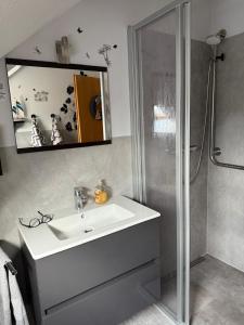 Koupelna v ubytování Ferienwohnung Am Froschteich + 7 fotografií