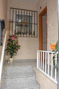 a porch with a window and a potted plant at Yovalutres in Torrevieja