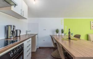 Η κουζίνα ή μικρή κουζίνα στο Charmante Wohnung In Funtana Mit Grill