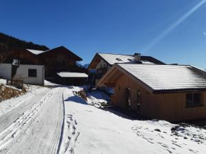 Ratscheinerhof App Gipfelglück v zime