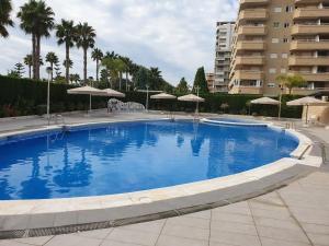 a large blue swimming pool with umbrellas and a building at Vacaciones en primera línea in El Borseral