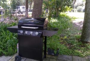 Una parrilla de barbacoa con una olla encima en Lakefront with Dock on Private Lake Florence near Montverde Academy, en Montverde