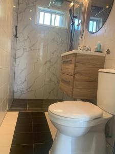 a bathroom with a white toilet and a shower at Heerlijk huisje op de Veluwe in Ermelo