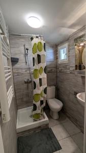 une salle de bain avec une douche, des toilettes et un lavabo dans l'établissement Appartement cosy 4 pers Drancy, à Drancy
