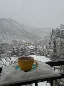 Borjomi Nest взимку