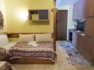 Kuchyň nebo kuchyňský kout v ubytování Apartment Les Bluets by Interhome