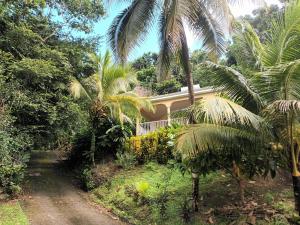 Zahrada ubytování Martinique La petite maison dans la Colline