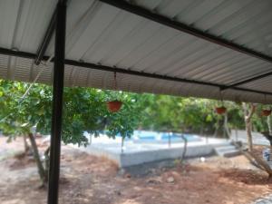 オーロヴィルにあるCashew de auro farm houseのギャラリーの写真