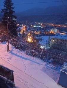 Borjomi forest v zimě