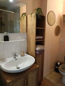 Koupelna v ubytování Maison d'hôtes Les Vallées + 32 fotografií