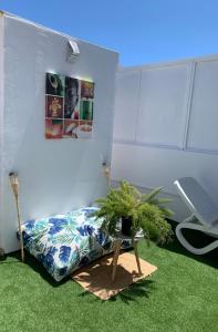 a room with a bed and a potted plant at Sunset View in Arona