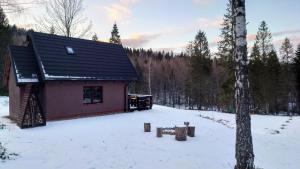 Το Domek w lesie DiABELSKi KOCiOŁEK τον χειμώνα