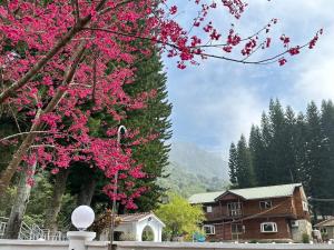 南庄乡南苑莊園 NanYuan Resort Manor的房子前有粉红色花的树