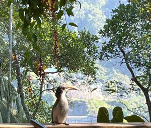 Příroda nedaleko penzionu