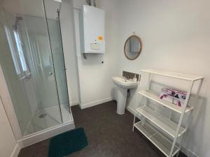 a bathroom with a shower and a sink and a toilet at Les 3 Frontières Luxembourg Grand Parking Wifi in Herserange +87 photos