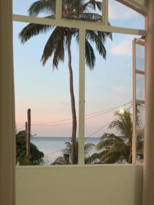 a window with a view of the ocean and a palm tree at Santa Studio in La Gaulette