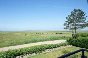 Φυσικό τοπίο κοντά σε αυτό το διαμέρισμα