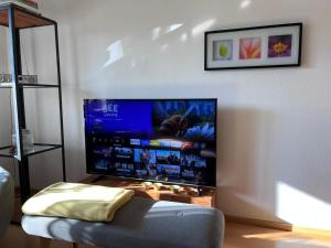 TV a/nebo společenská místnost v ubytování Lichtdurchflutete Wohnung