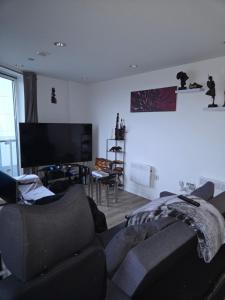 een woonkamer met een bank en een flatscreen-tv bij Lovely one private bedroom in shared 2 bedroom apartment in Manchester +9 foto's