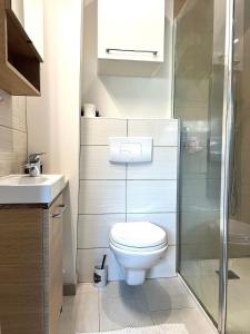 a bathroom with a toilet and a shower and a sink at Appartement moderne et central in Belfort