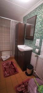 Bilik mandi di Appartement In Lütow Mit Grill