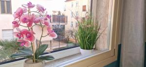 Balkón nebo terasa v ubytování Hotel Tito