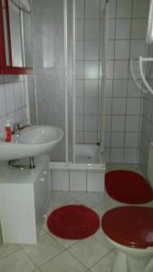 a bathroom with a sink and a shower and red mats at Ferienhaus Lilienstein in Prossen
