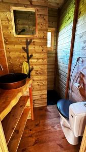 a wooden bathroom with a sink and a toilet at Cabanes Milvus du Puy Mary in Cheylade +14 photos