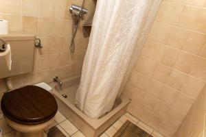 a bathroom with a toilet with a shower curtain at Ferienwohnung Mit Zwei Schlafzimmern Und Balkon in Weißenstadt