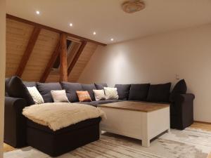 un salon avec un canapé bleu et une table basse dans l'établissement Moderne Ferienwohnung Mit Hot Tub Und Fasssauna, à Hohenberg an der Eger