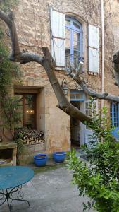 a tree limb in front of a building at La Chouette Maison in Florensac