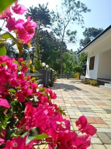 Zahrada ubytování Vagamon 4 large family Rooms & 20 bunk beds apartment 812'983'5682