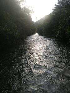 Příroda nedaleko penzionu – hostince + 4 fotografie