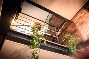 Fotografie z fotogalerie ubytování Loft Tabaccaia 13 v destinaci Piantravigne
