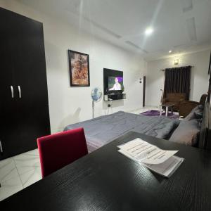 TV a/nebo společenská místnost v ubytování SATELLITE APARTMENT The Classic Studio 4