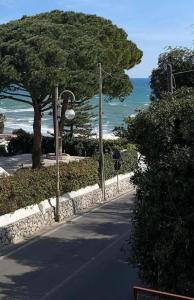 Photo de la galerie de l'établissement FONDAZIONE VILLA POINT ONLUS, à San Felice Circeo 59 autres photos