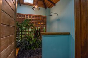 Fotografie z fotogalerie ubytování P1 Macaw v destinaci Talamanca